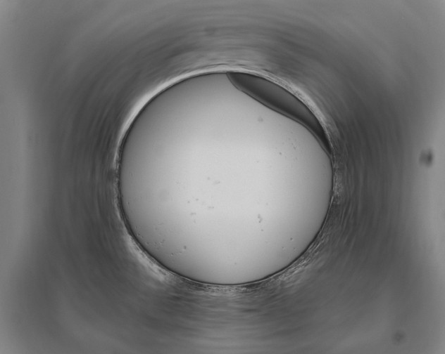 X0000094811532200712141611