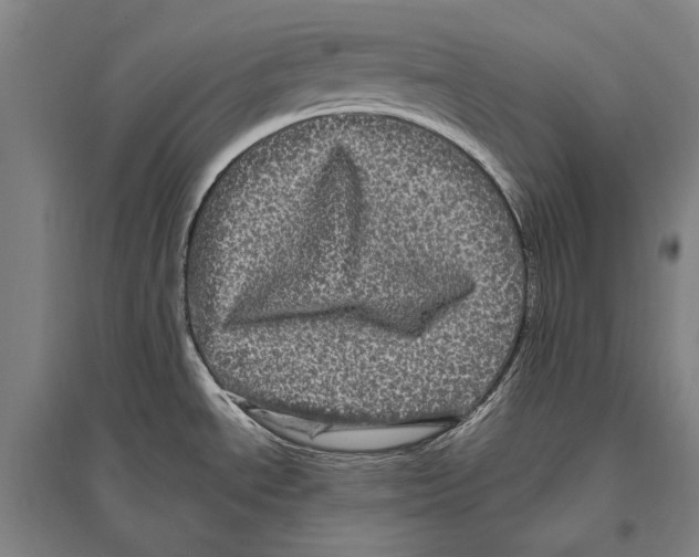 X0000094811534200712141611