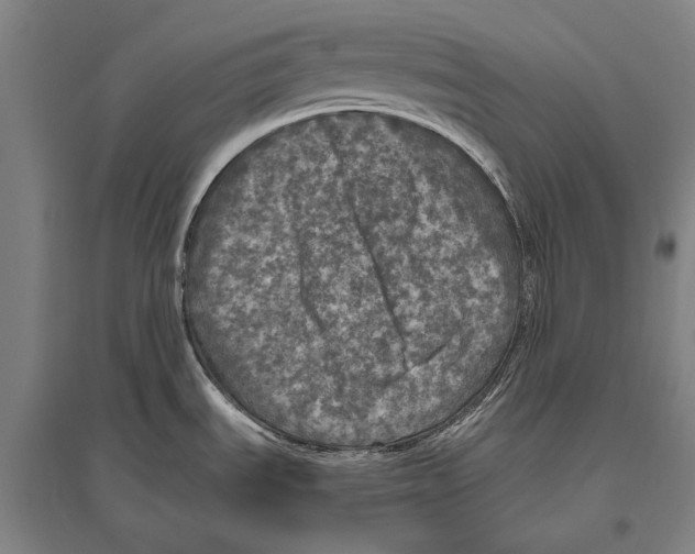 X0000094811535200712141611