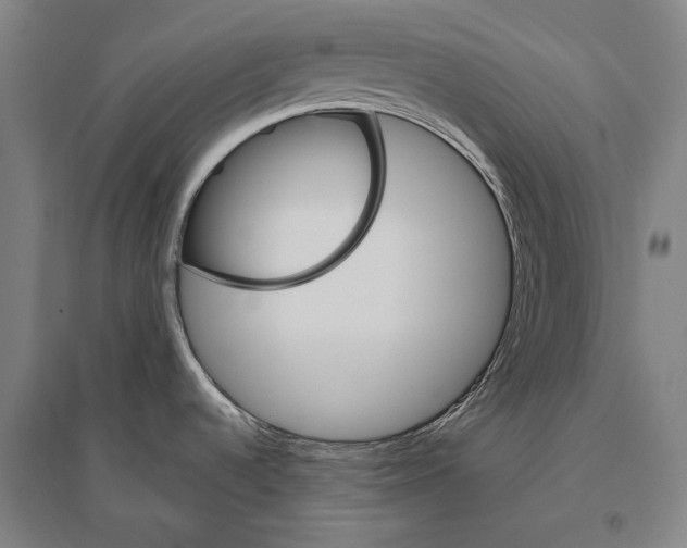 X0000094811536200712141611