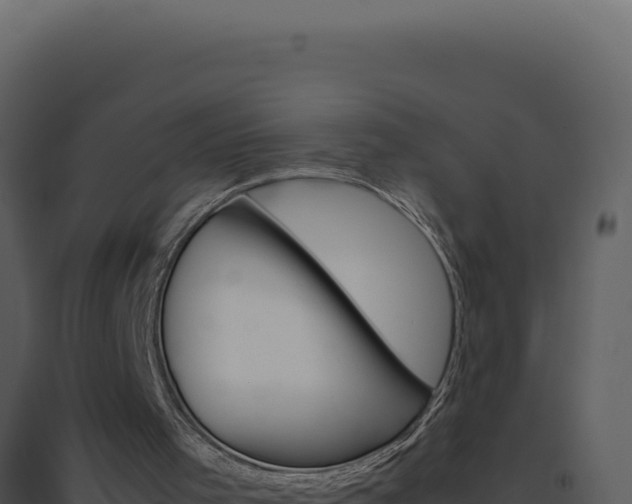 X0000094820001200711161039