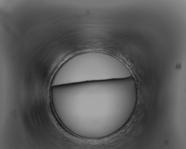 X0000094820002200711161039