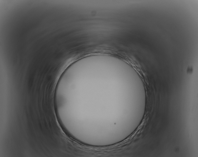 X0000094820003200711161039
