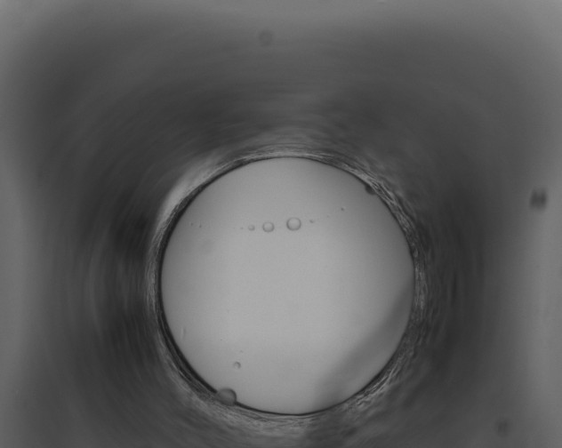 X0000094820004200711161039