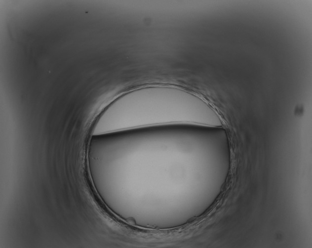 X0000094820005200711161039