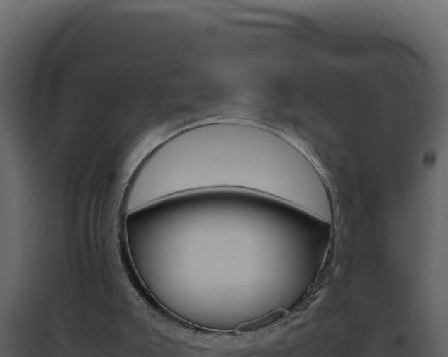 X0000094820007200711161039