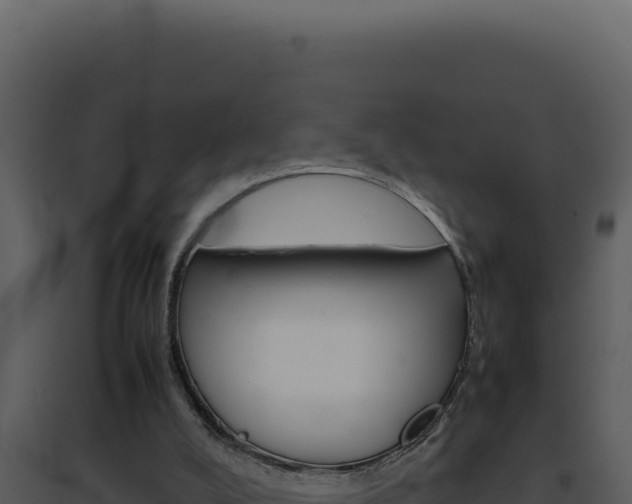 X0000094820008200711161039