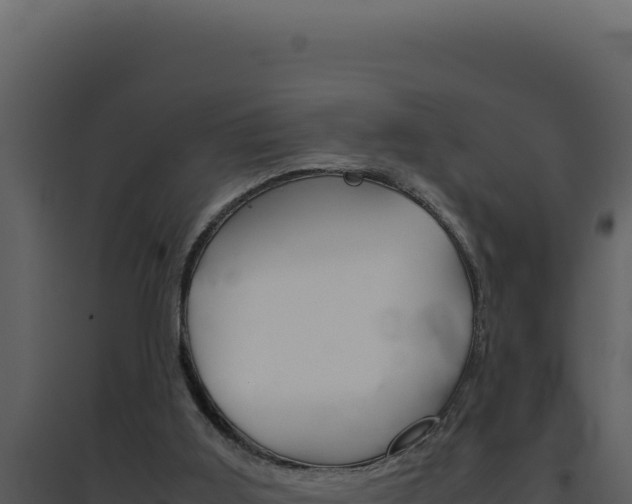 X0000094820011200711161039