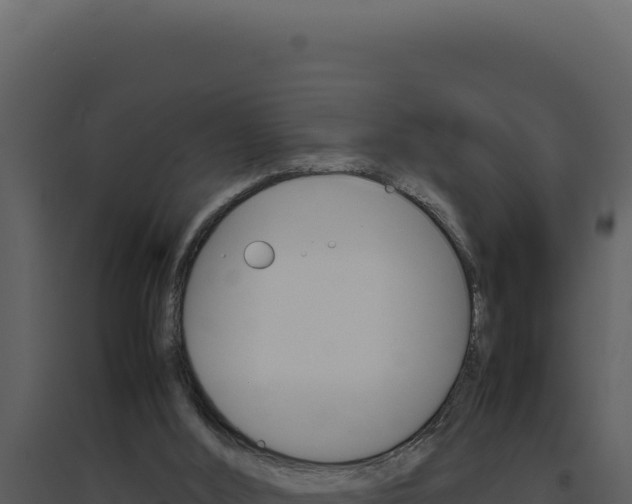 X0000094820012200711161039