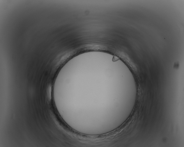 X0000094820014200711161039