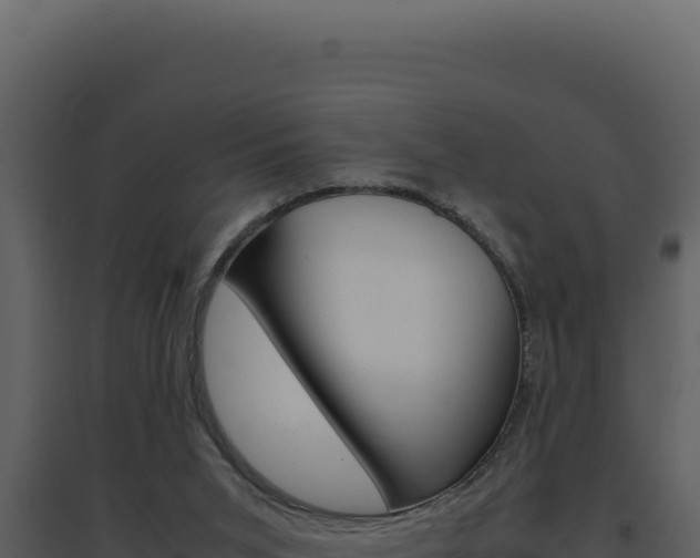 X0000094820015200711161039