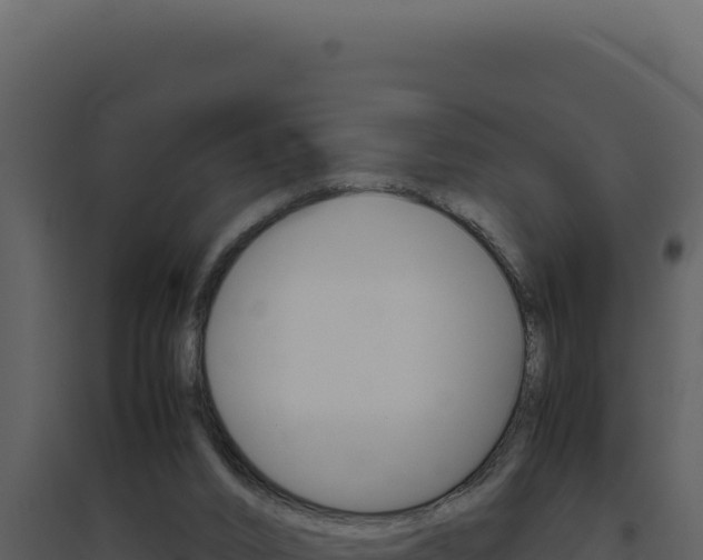X0000094820016200711161039