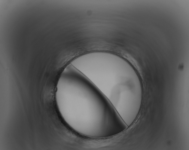 X0000094820017200711161039