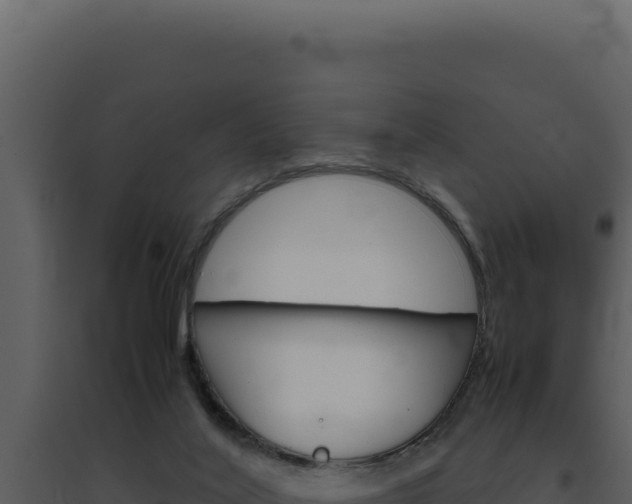 X0000094820020200711161039