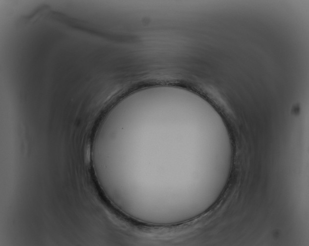 X0000094820021200711161039