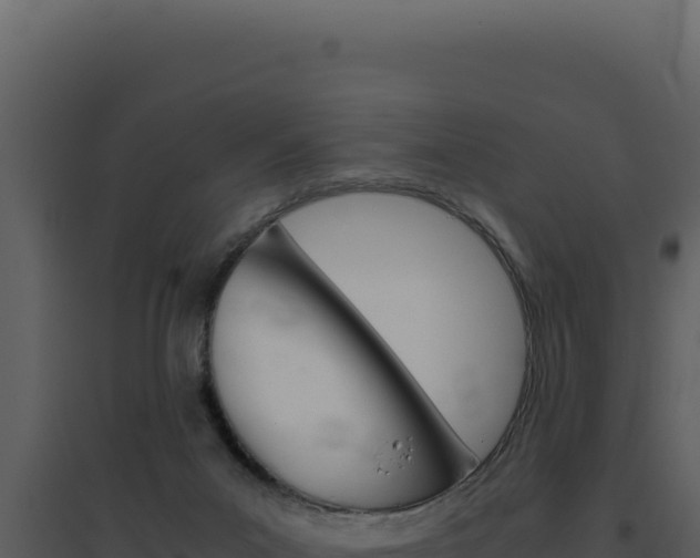 X0000094820023200711161039