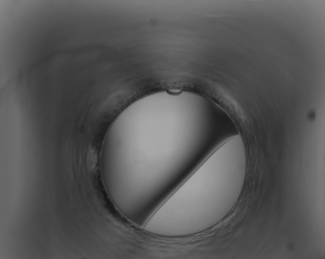 X0000094820025200711161039