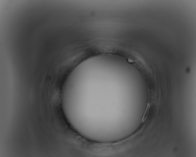 X0000094820029200711161039