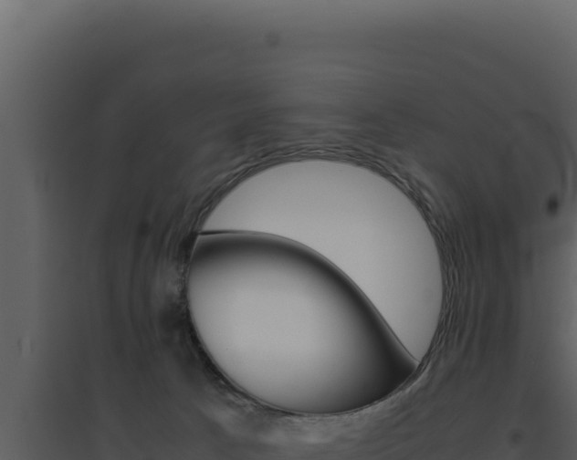 X0000094820033200711161039