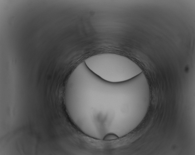 X0000094820034200711161039