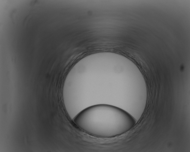 X0000094820035200711161039
