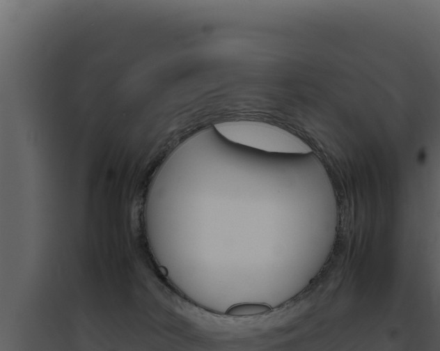 X0000094820038200711161039