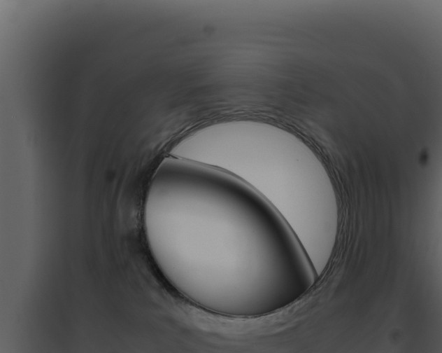 X0000094820039200711161039