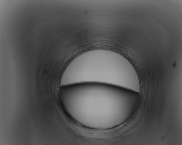 X0000094820040200711161039