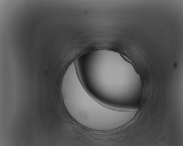 X0000094820041200711161039