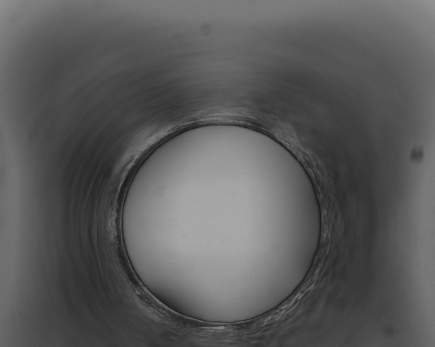 X0000094820050200711161038