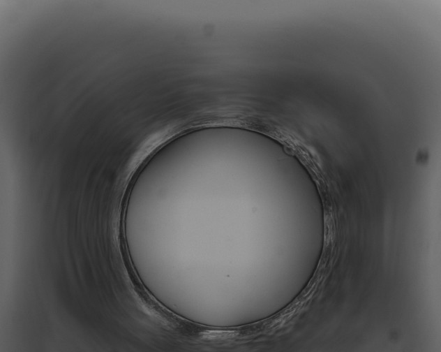 X0000094820051200711161038