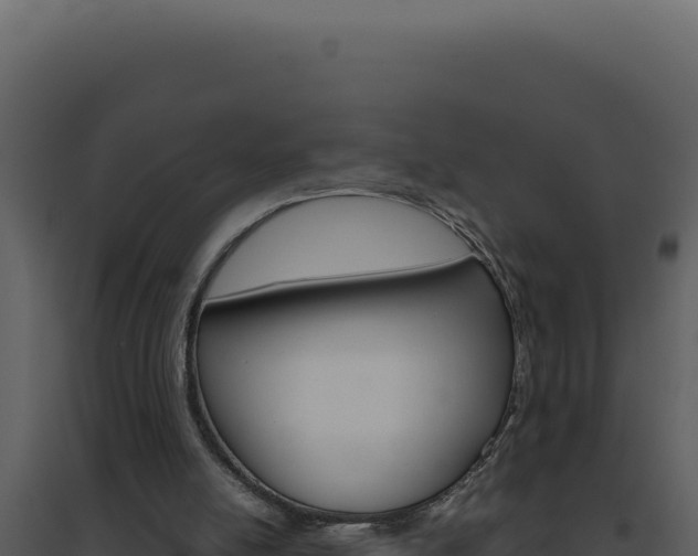 X0000094820054200711161038