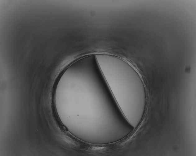 X0000094820055200711161038