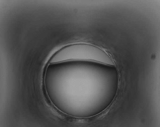X0000094820056200711161038