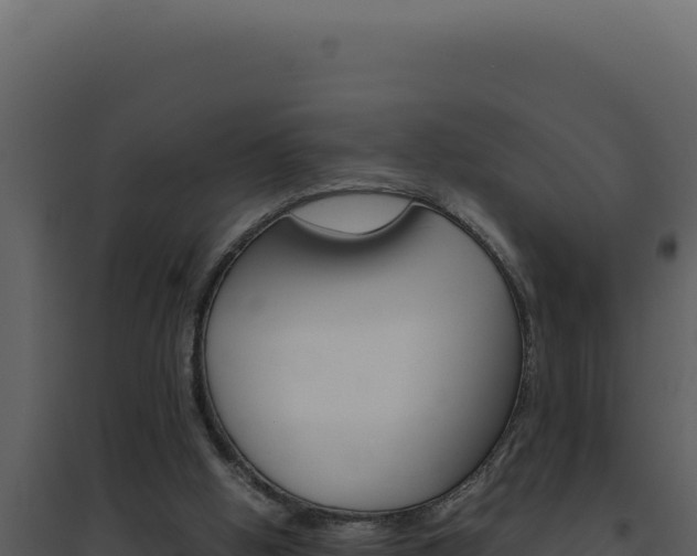 X0000094820058200711161038