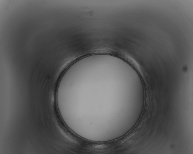 X0000094820059200711161038