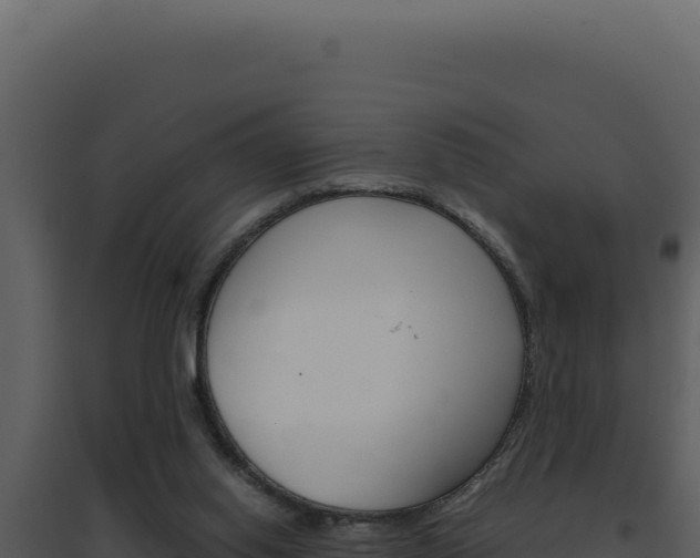 X0000094820062200711161038