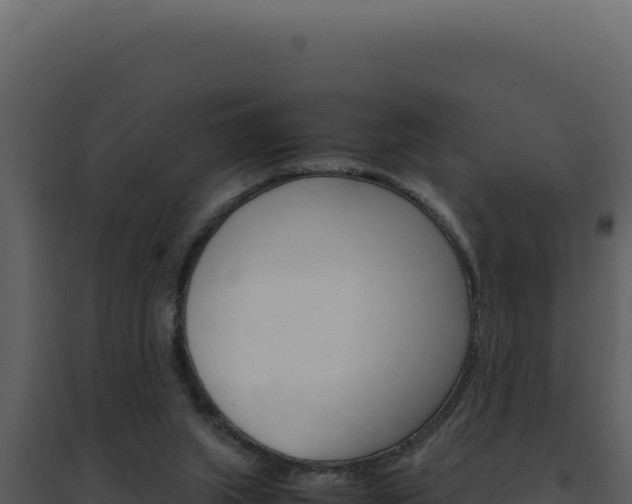 X0000094820063200711161038