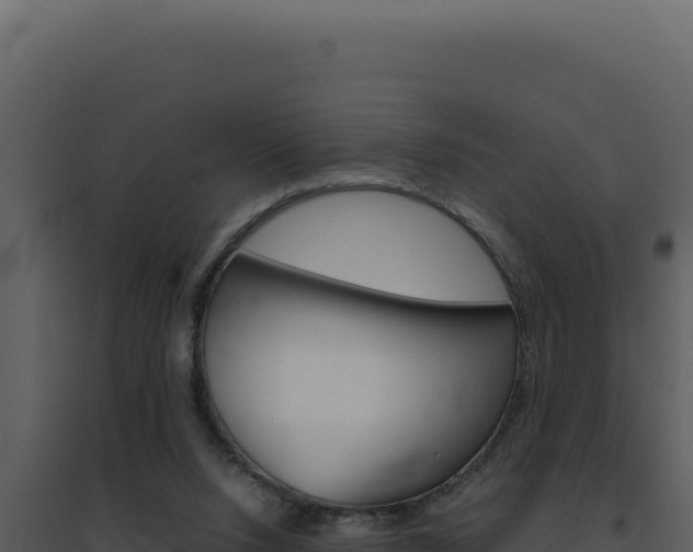X0000094820064200711161038