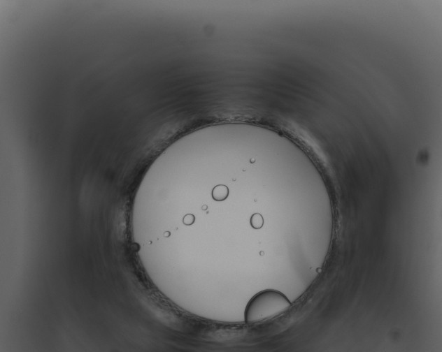 X0000094820065200711161038