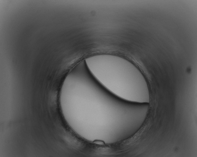 X0000094820066200711161038