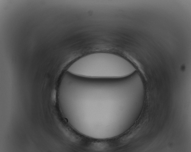 X0000094820067200711161038