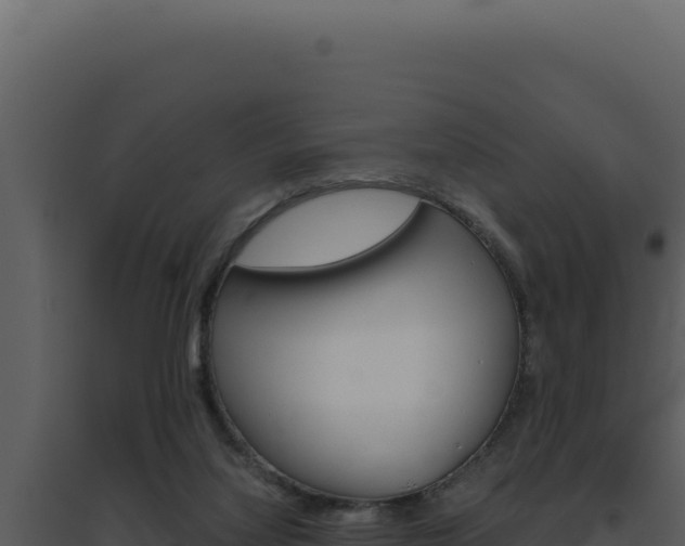 X0000094820068200711161038