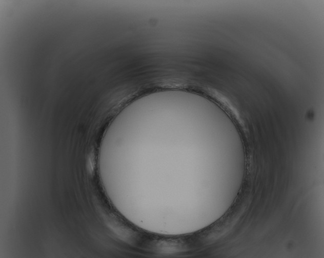 X0000094820069200711161038