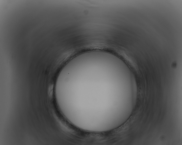X0000094820070200711161038