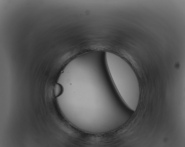 X0000094820071200711161038