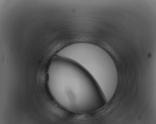 X0000094820072200711161038