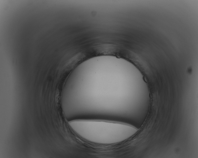 X0000094820073200711161038
