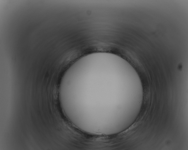 X0000094820078200711161038