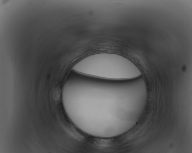 X0000094820081200711161038